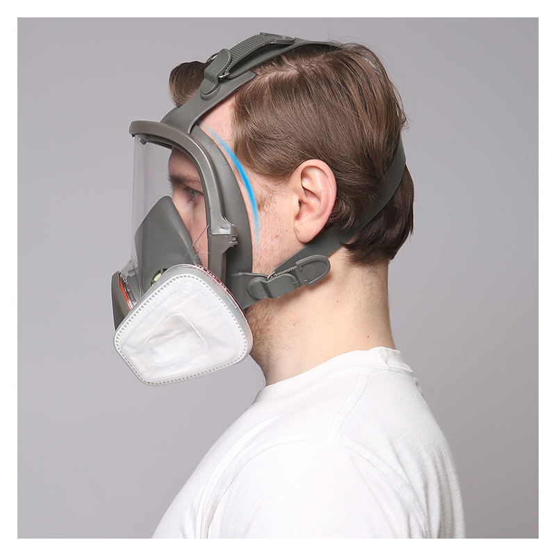 6800 Full Face Gas Respirator  - Dust Mask Construction 评论和价格